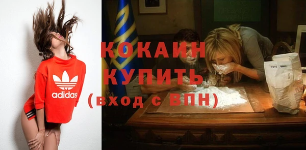 эйфоретик Михайлов