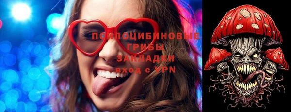 гашик Михайловка