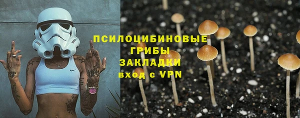 гашик Михайловка