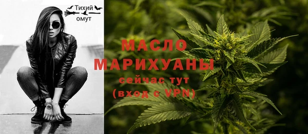 гашик Михайловка