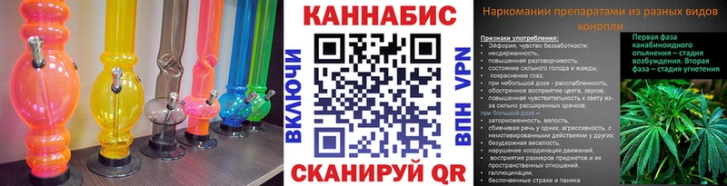 Канабис гибрид  Дудинка 